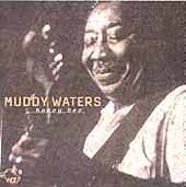 Muddy Waters : Honey Bee